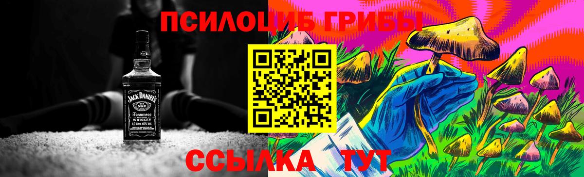 Похвистнево  Галлюциногенные грибы мицелий  Вход с VPN 